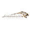 JAGUARIX